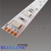 LED Strips